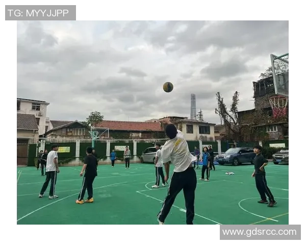 上海排球队的精神面貌与团队意识深度解析 上海排球队的精神面貌与团队意识深度解析