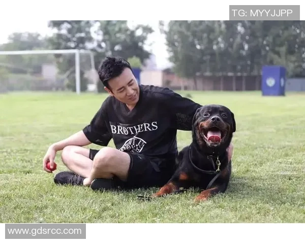 巴西警犬足球明星的传奇故事与训练背后的秘密揭秘