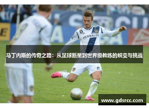 马丁内斯的传奇之路：从足球新星到世界级教练的蜕变与挑战
